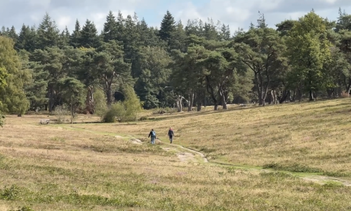 NS-wandeling Elsterberg