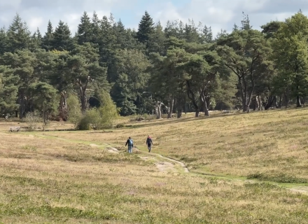 Uitzicht vanaf de Elsterberg © Luuk Gijselhart