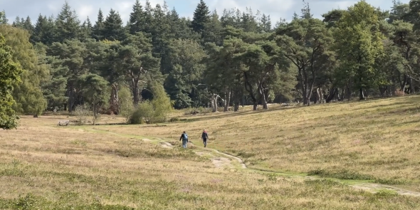 NS-wandeling Elsterberg