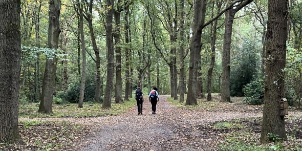 Bospad in de Leidse Hout in de herfst © Ernst Koningsveld.jpg
