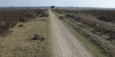 Veluwe_zwerfpad_etappe_05.jpg