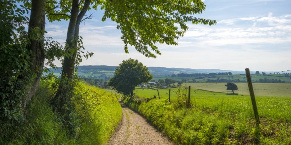Zuid-Limburg.jpeg