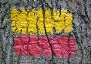 Geel-rode-markering-Streekpad.jpg