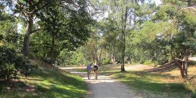 Lange Duinen © Wandelnet.jpg