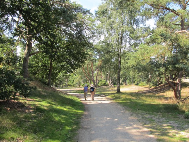 Lange Duinen © Wandelnet
