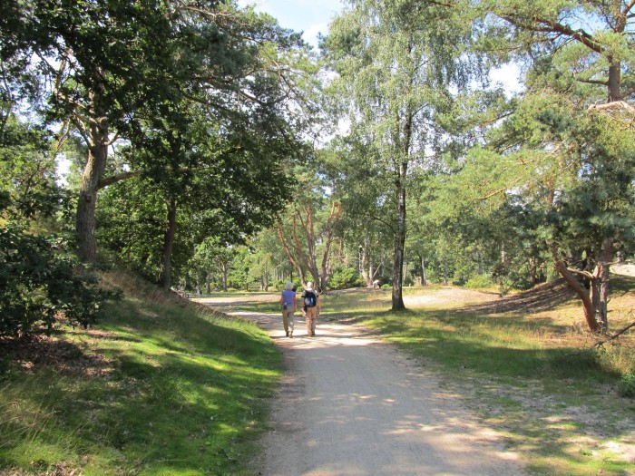 NS-wandeling Lange Duinen Utrecht