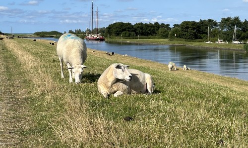 Op de dijk net buiten Workum © Ernst Koningsveld.jpg