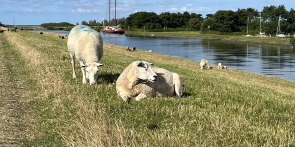 Op de dijk net buiten Workum © Ernst Koningsveld.jpg