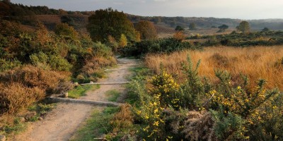 nationaal-park-veluwezoom