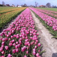 Nederlands_kustpad_deel_2_etappe_10.jpg