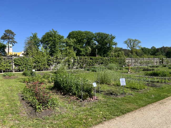 De pluktuin van Slot Mookerheide © Ernst Koningsveld