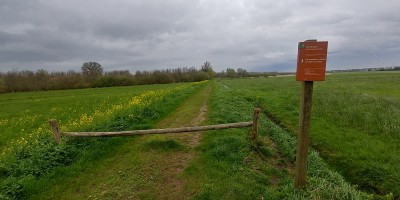 3-7 Hoevense Beemden.jpg