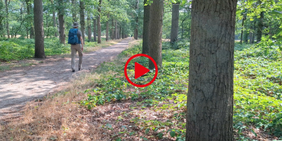 Leo - NS-wandeling Beerschoten - Bilthoven.png