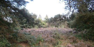 etappe 04.jpg
