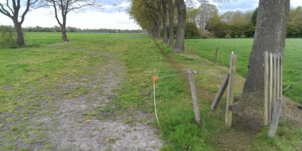 bindert kloosterman boerenlandpad waskemeer 1.jpg
