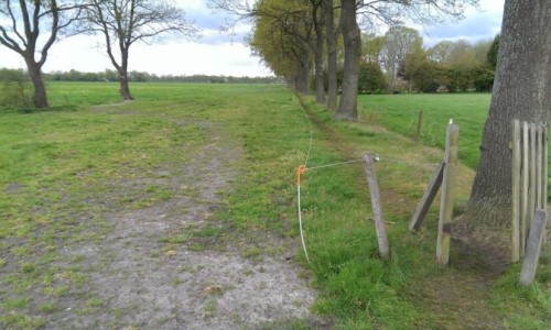 bindert kloosterman boerenlandpad waskemeer 1.jpg