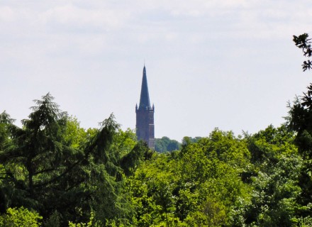 Zicht op kerk Steenwijk vanaf de Woldberg © Gouwenaar, Wikimedia