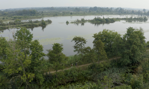 Tienhovense plassen drone 03.png