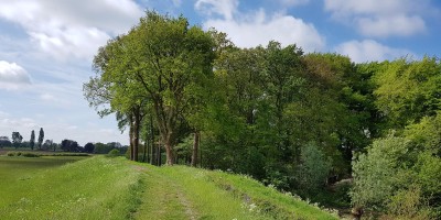 Bomendijk