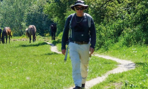 wandelen rond arnhem en nijmegen cover klein.jpg