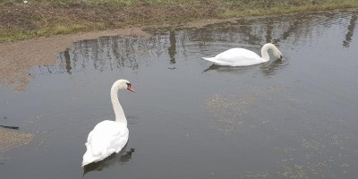 etappe 05.jpg