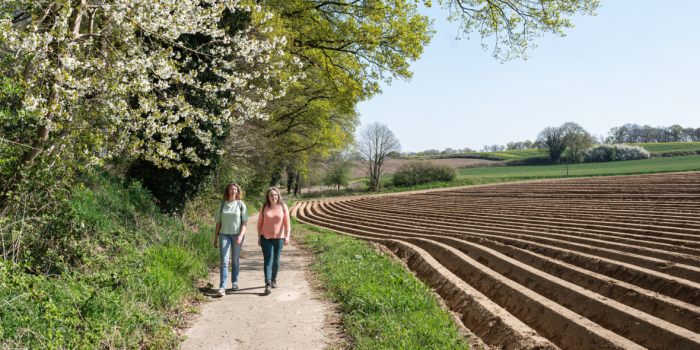 Wandelaars nabij Duivelsberg bij Berg en Dal © Ad Snelderwaard