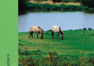 Cover_Streekpad_Nijmegen_SP3_2009.jpg