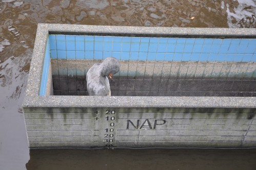 Rondwandeling_Leeuwarden_kunstwerk_Meetbaar_Water.JPG