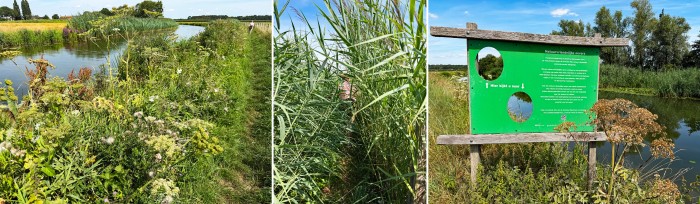langs de Kromme Rijn en zoeken naar Betty…