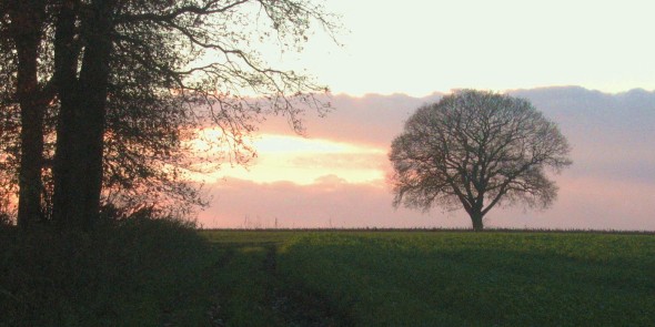 Marskramerpad_etappe_04.JPG