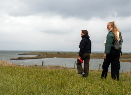 Wandelaars op het Oosterscheldepad © Nivon Natuurvrienden