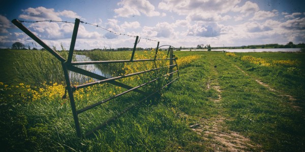 Wandelnet  Mooiste wandelroutes