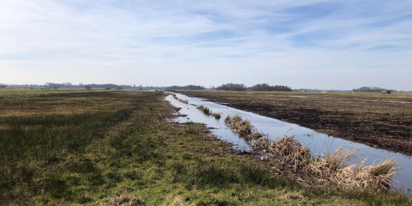 zoddenpad rading2.jpg