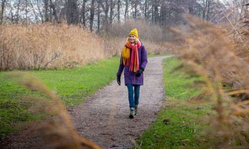 Medium-Wandelen winter 47.jpg