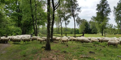 etappe 04.jpg