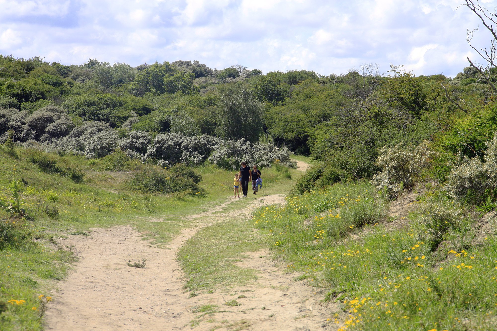 In de duinen.JPG