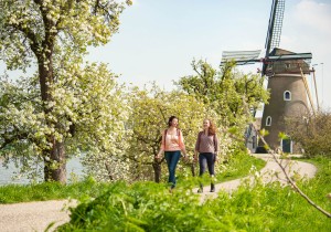 Persberichten-Wandelnet-wandelnet.nl.jpg