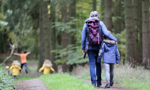 Wandelen in de herfstvakantie met kids.jpg