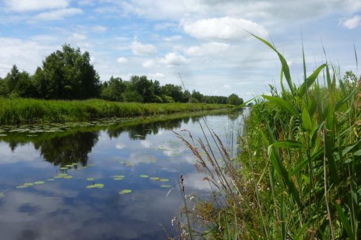 Streekpad Noardlike Fryske Wâlden (SP 20) Wandel door NoordoostFriesland Streekpad Noardlike Fryske Wâlden (SP 20) Wandel door NoordoostFriesland