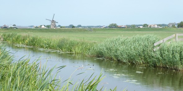 Vaart_met_molen_in_de_verte.JPG