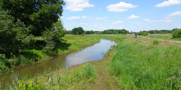 Drentsche Aa beek.JPG