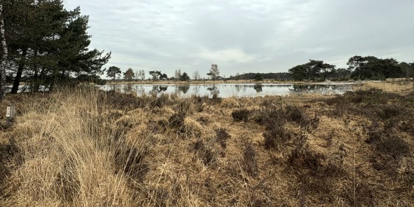 2026-03-27 De Putse Moer in Grenslandpark 2 © Ernst Koningsveld.jpg