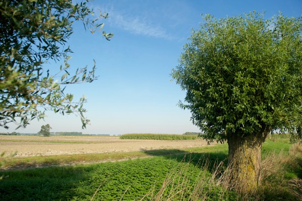 Grenslandpad_etappe_01.jpg