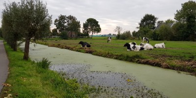 Groene_Hartpad_etappe_03.jpg