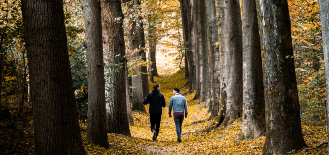 Wandelaars in het bos in de herfst © Lloyd Dirks - Unsplash