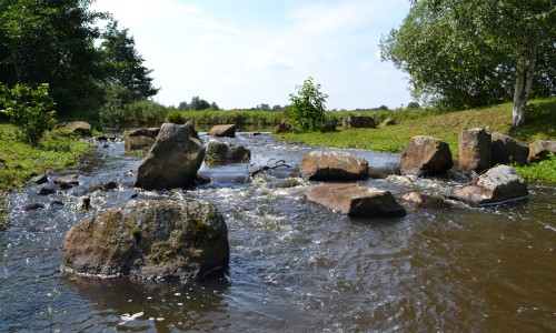 Westerwolde_Ruiten_Aa_1.jpg