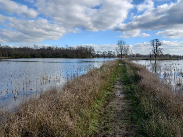 Korenburgerveen