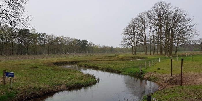 Tongelreep