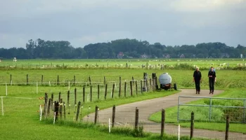 Pieterpad-wandelaars-4delen-8c232b32.webp