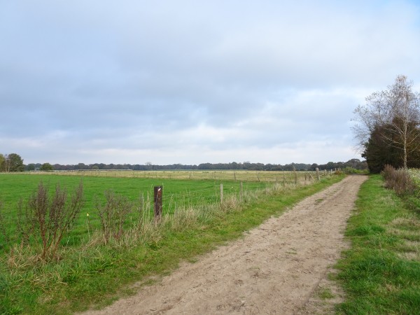 Onneresch Hondsrug